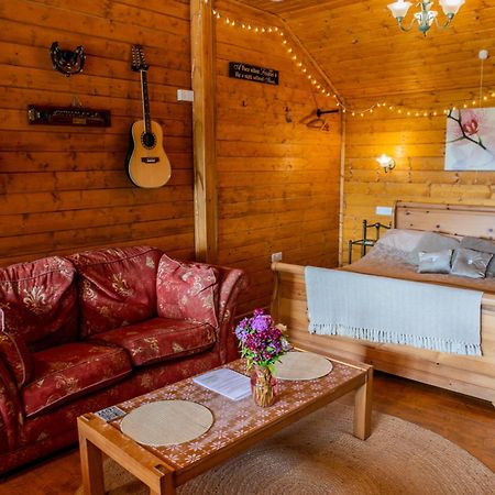 Blossom Cabin - Little Log Cabin In Wales 뉴타운 외부 사진