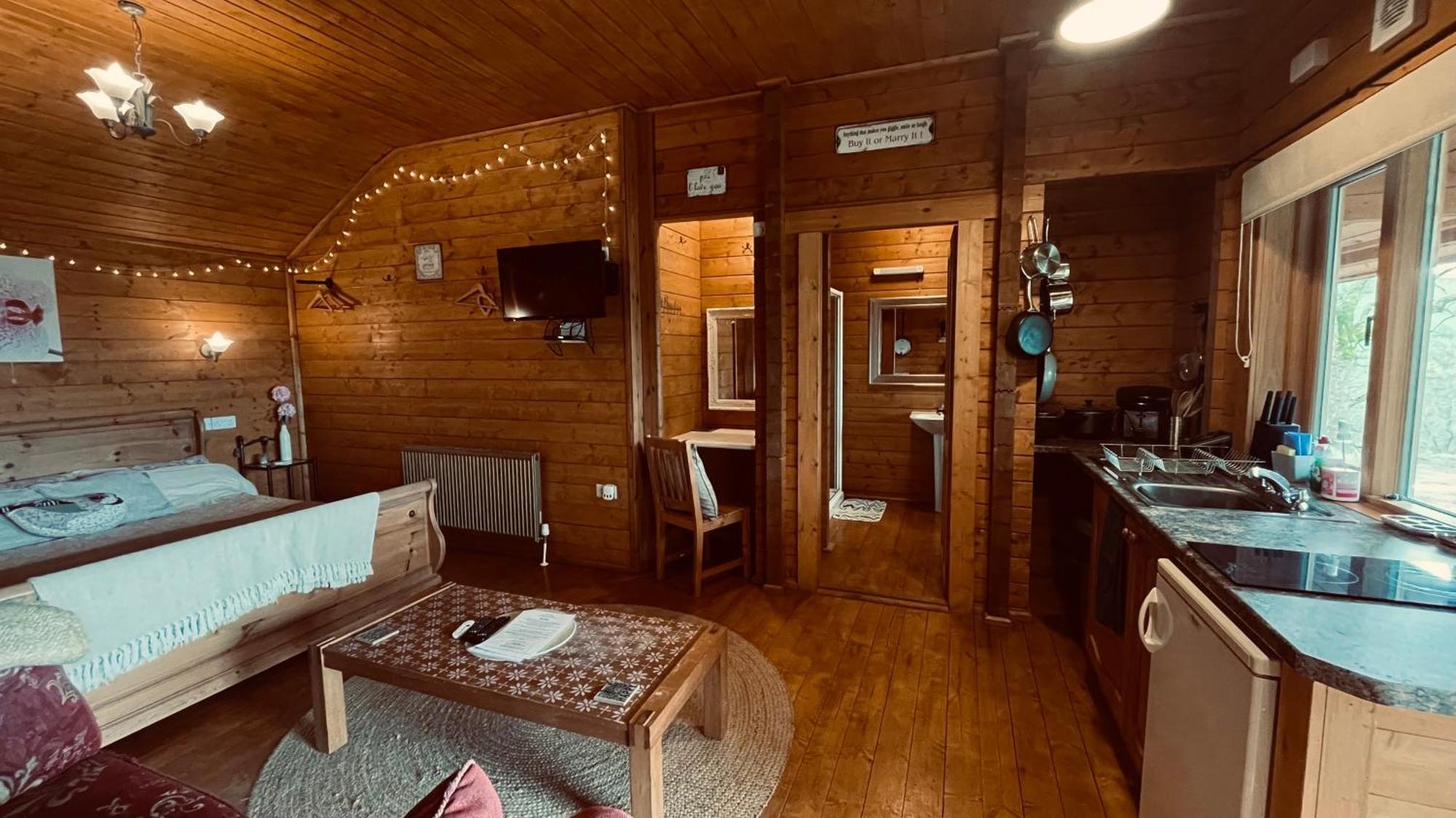 Blossom Cabin - Little Log Cabin In Wales 뉴타운 외부 사진